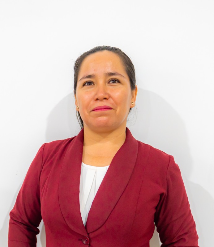 Ing. Mirian Paredes Sanchez